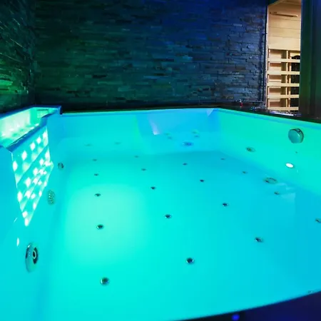 Apartamento Et Sauna Privatif - Terrasse - Proche Cité Médiévale