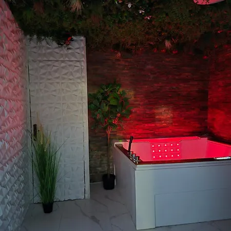 Et Sauna Privatif - Terrasse - Proche Cité Médiévale *