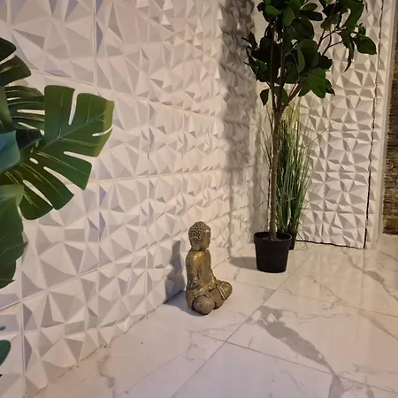 Et Sauna Privatif - Terrasse - Proche Cité Médiévale Apartamento Carcasona