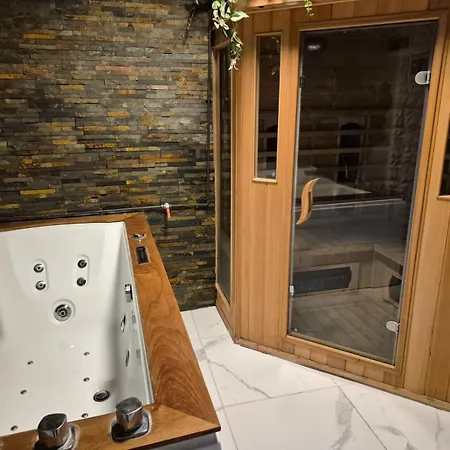 Et Sauna Privatif - Terrasse - Proche Cité Médiévale Apartamento Carcasona