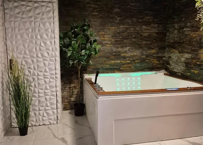 Apartamento Et Sauna Privatif - Terrasse - Proche Cite Medievale